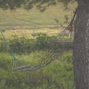 empty hammock suspended between trees with a field in the distance