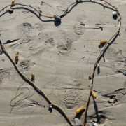 photo of a beach with a strand of seaweed forming a heart shape